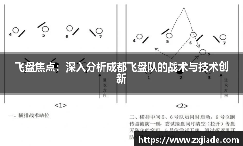 飞盘焦点：深入分析成都飞盘队的战术与技术创新