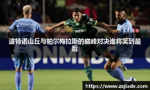 维基体育官方网站